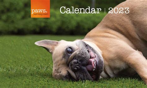 master paw calendar 2023